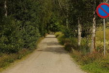 Vägen från berget, Grillningen