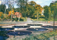 Kloten Fiskdammarna Kloten Fiskdammarna