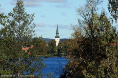 Mellan träden tittar Kyrkan fram