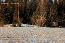 Huset i skogen