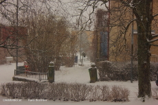 Grannsnö Grannsnö