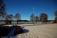 Sparbanksträdgården