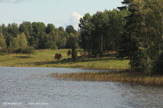 Näsområdet