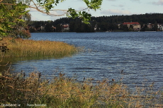 Vass vid Näset