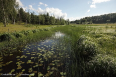 Ån från Torphyttan