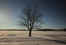 Lindesjön