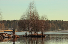 En av dom små Trallingarna