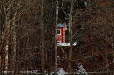 Ett hus i skogen