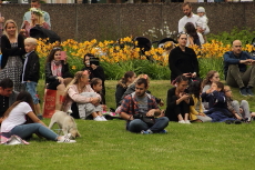 Hunden nosar Hunden nosar