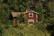 Huset i skogen