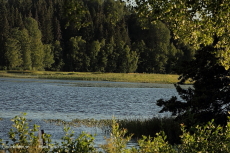 Lindesjön mot Grillplatsen