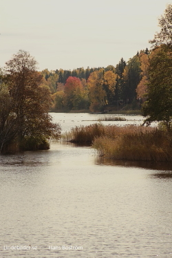 På vägen mot sjön