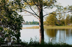 Trädet och Kyrkan