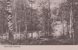 Parti från Hagfors Parti från Hagfors
