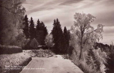 Hagfors.Övre Klarälvdalen, Parti från Kyrkan, Ekshärad med Kyrkstallar 1953