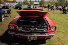 Mustang Mustang