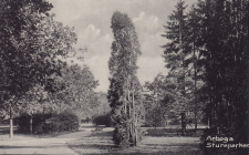 Arboga Stureparken 1915 Arboga Stureparken 1915