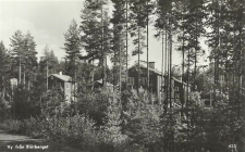 Ludvika, Vy från Blötberget Ludvika, Vy från Blötberget