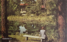 Södertälje, Torekällberget, Näckrosdammen Södertälje, Torekällberget, Näckrosdammen