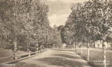 Hedemora, Stadsberget Hedemora, Stadsberget