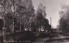 Norra Åsen, Hedemora Norra Åsen, Hedemora