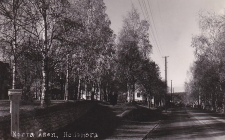 Norra Åsen, Hedemora