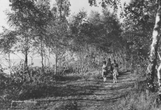 Gotland, Burgsvik, Stranden Björklunda 1960