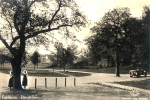 Eskilstuna Djurgården 1931 Eskilstuna Djurgården 1931