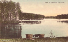 Parti af Dalälfven, Skamhed Parti af Dalälfven, Skamhed