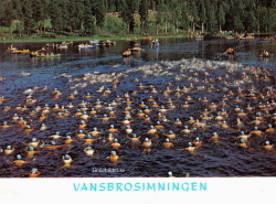 Vansbrosimmningen Vansbrosimmningen