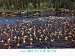 Vansbrosimmningen