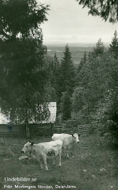 Vansbro, Från Morbergets fäbodar, Dala - Järna