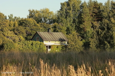 Huset vid Örebrovägen