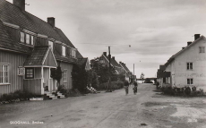 SKOGHALL, Bruket SKOGHALL, Bruket