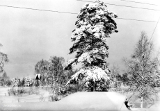 Hällefors, KFUMs Bergslagsgård, Sävsjön Hällefors, KFUMs Bergslagsgård, Sävsjön