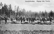 Smedjebacken, Elgjagt från Vanbo Smedjebacken, Elgjagt från Vanbo