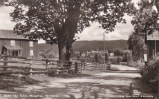 Motiv från Tobyn, Mangskog Värmland 1963 Motiv från Tobyn, Mangskog Värmland 1963