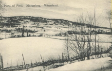 Parti af Fjell, Mangskog, Värmlandd Parti af Fjell, Mangskog, Värmlandd