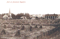 Parti af Jannelund, Degerfors Parti af Jannelund, Degerfors