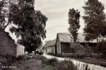 Öland, Södvik, Persnäs 1952 Öland, Södvik, Persnäs 1952