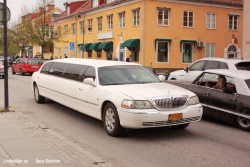 Cruising 2022 Cruising 2022
