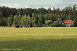 Skogsbrynet