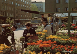 Linköping. Trädgårdstorget 1988