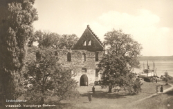 Visingsö. Visingsborgs Slottsruin