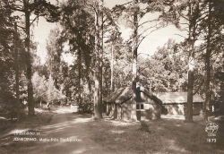 Jönköping. Motiv från Stadsparken
