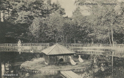 Ankdammen. Jönköping 1914 Ankdammen. Jönköping 1914