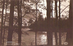 Sommarnatt vid Nätarn Sommarnatt vid Nätarn