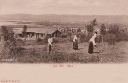 No 265 Orsa 1902