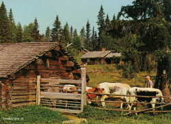 Orsa, Dalarna 1983 Orsa, Dalarna 1983
