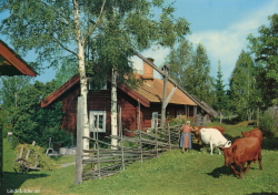 Från Högåsens Fäbodar i Orsa